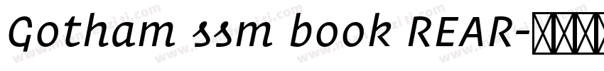 Gotham ssm book REAR字体转换